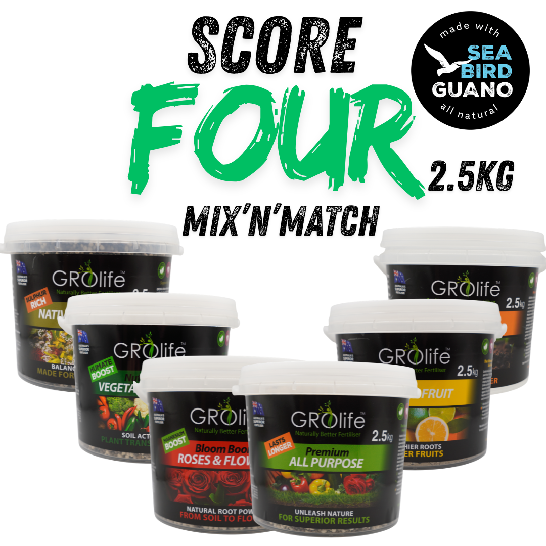 2.5kg Mix-n-Match Bundle – Pick Any 4 & SAVE!