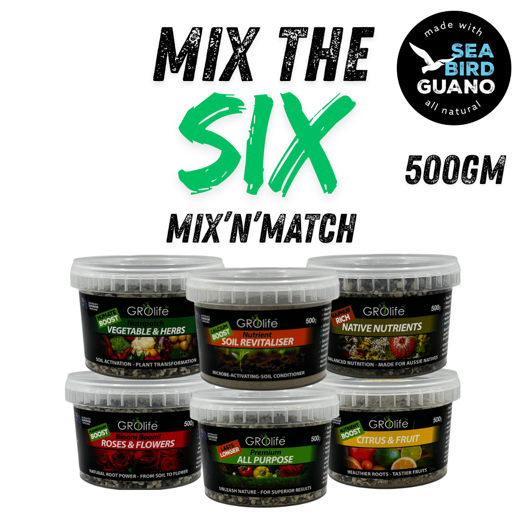 500gm Mix-n-Match Bundle – Pick Any 6 & SAVE!