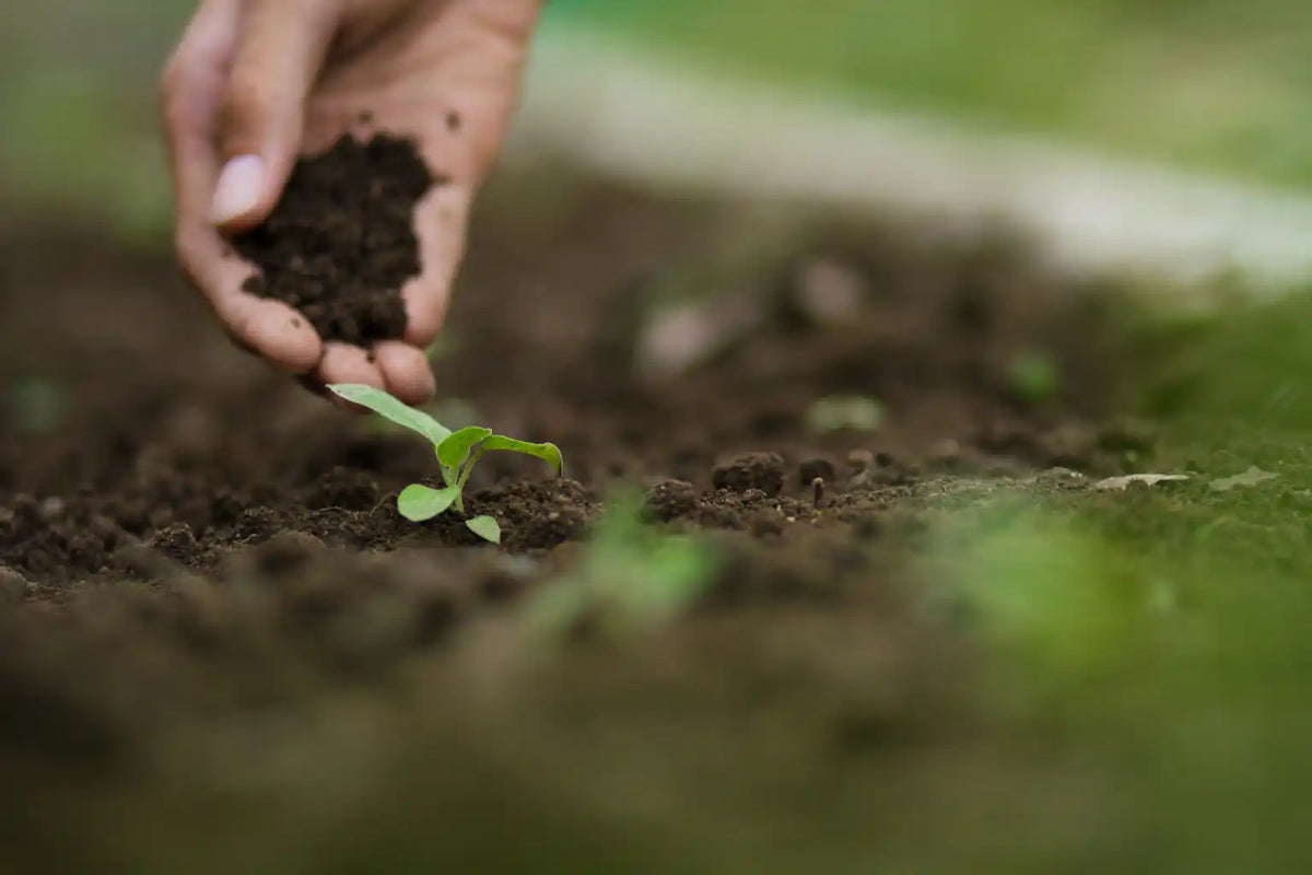 Australian soils are running on empty.