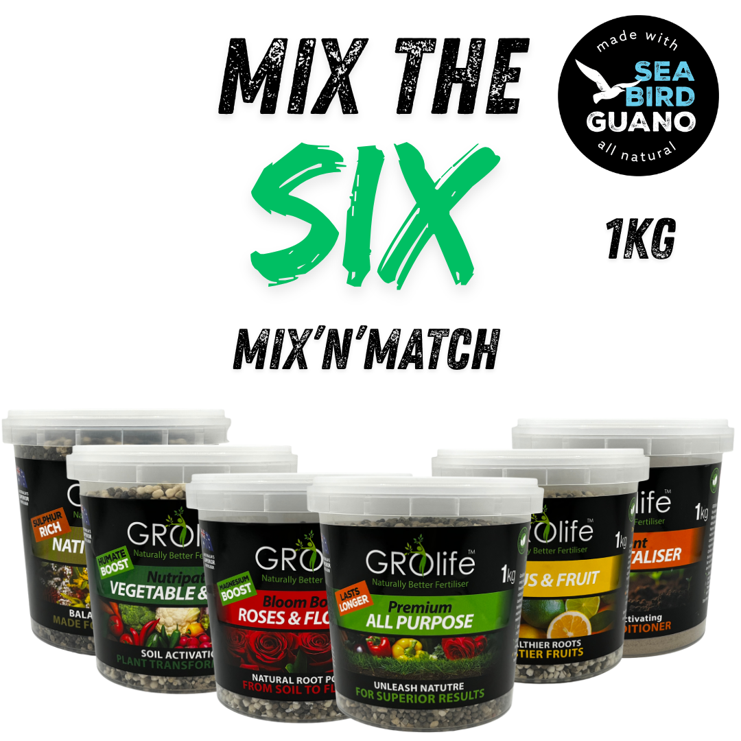 1kg Mix-n-Match Bundle – Pick Any 6 & SAVE!